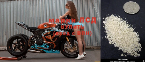 ПСИЛОЦИБИНОВЫЕ ГРИБЫ Алексеевка
