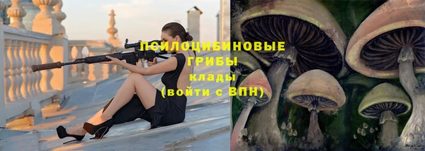 спиды Абинск