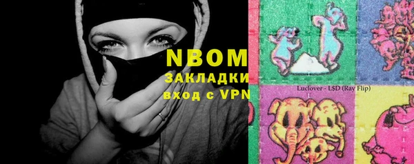 дурь Алексин