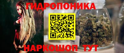 сатива Северобайкальск