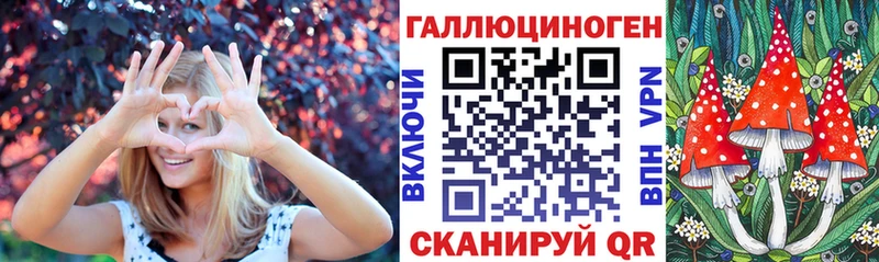 Псилоцибиновые грибы GOLDEN TEACHER  Чайковский 
