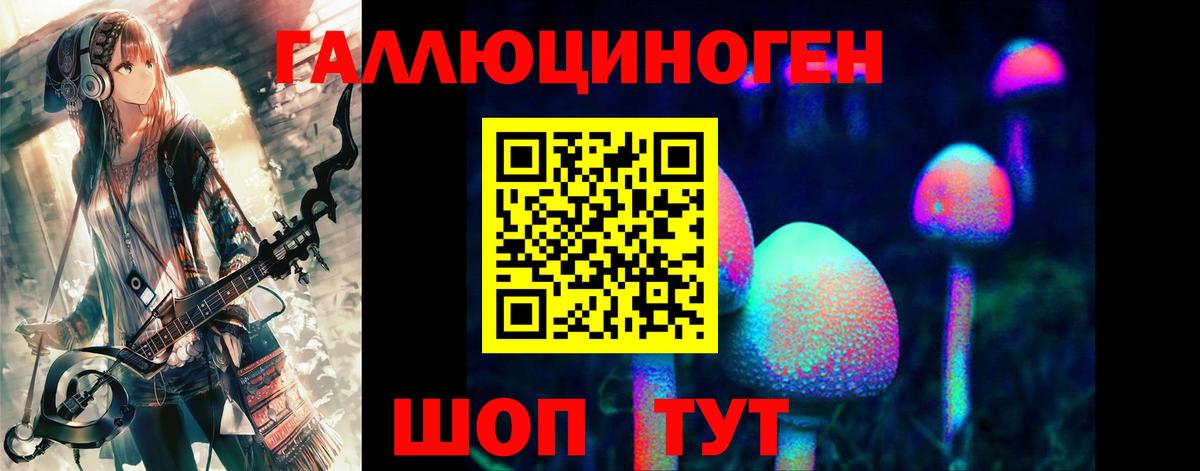 Галлюциногенные грибы Psilocybe  как найти   Чайковский  Вход с VPN 